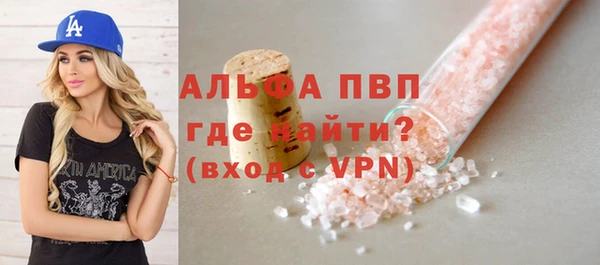 тгк Каменка
