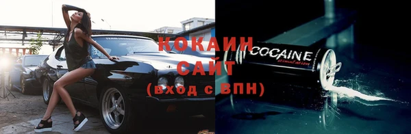 тгк Каменка
