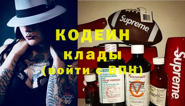 гидра Карпинск