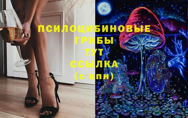 мет Каменногорск