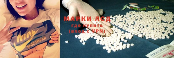 тгк Каменка