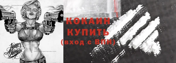 тгк Каменка