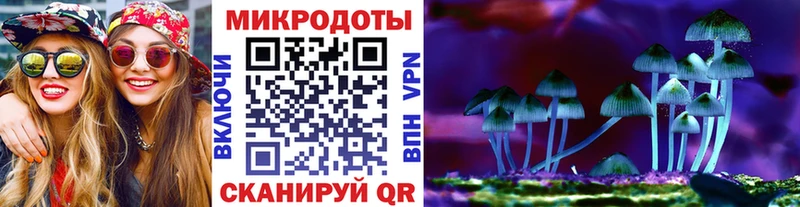 Купить где  Курлово  Псилоцибиновые грибы Cubensis 